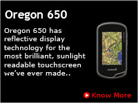 Garmin Handheld GPS Oregon 650 India