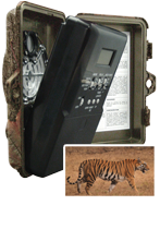 Digital Trail Cameras Dealers in India